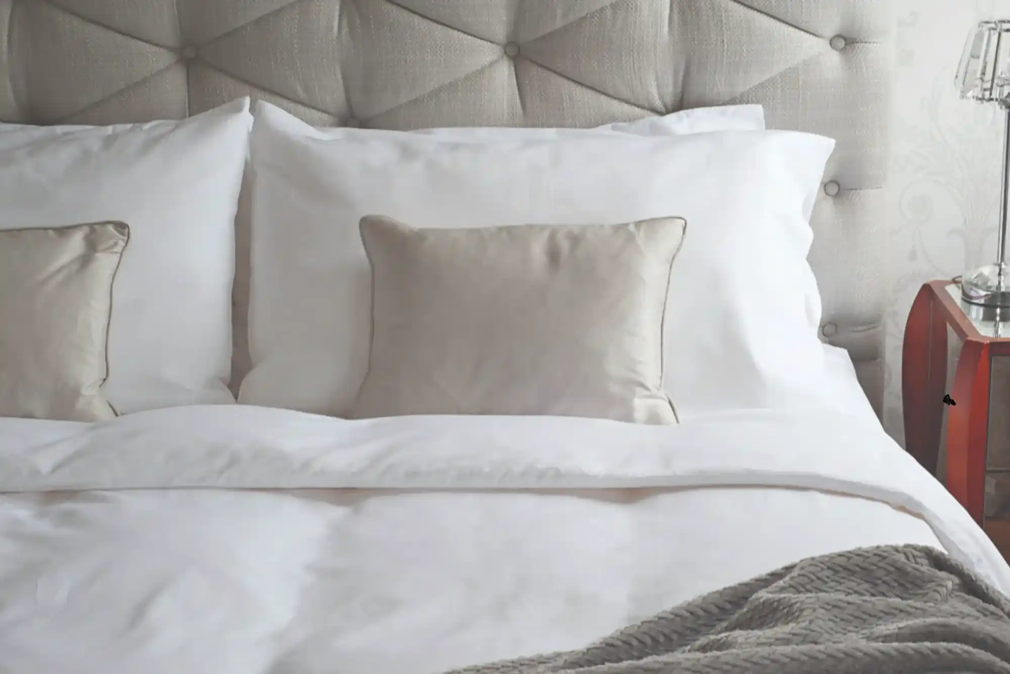 How Do I Find Cruelty-Free Hotel Linen Suppliers