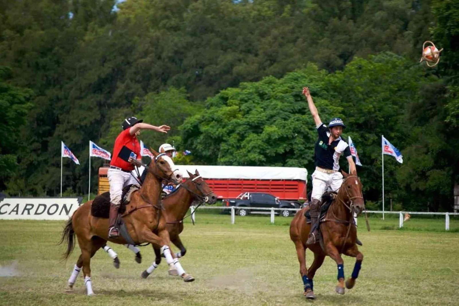 Practical Tips: What Is The National Sport Of Argentina