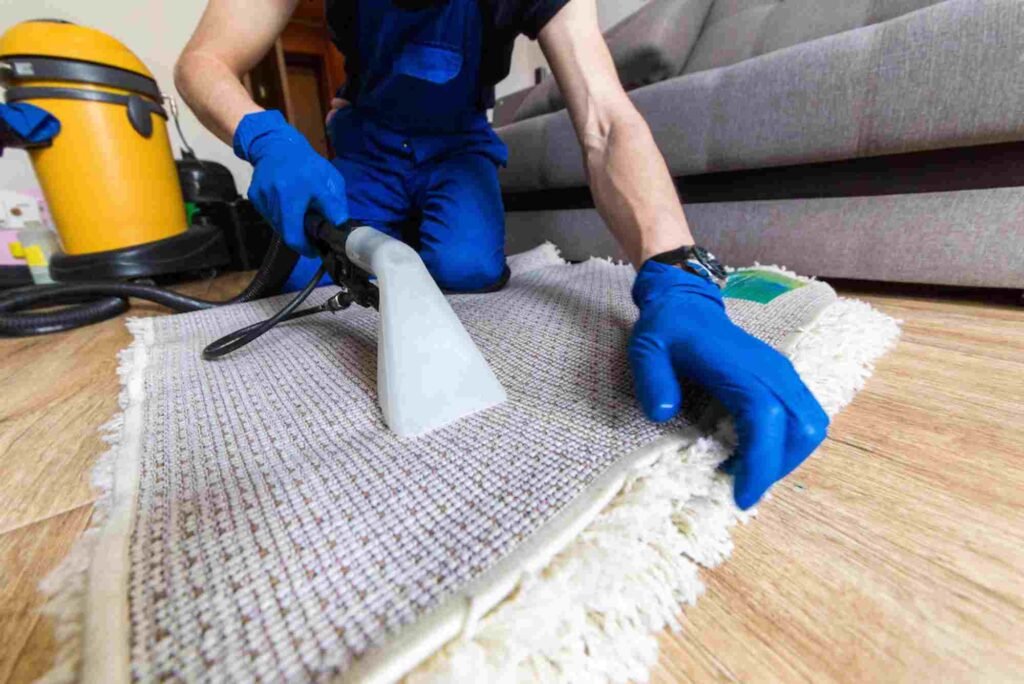 Practical Tips: Why Professional Carpet Cleaning Is Taking Over Vancouvers Homes