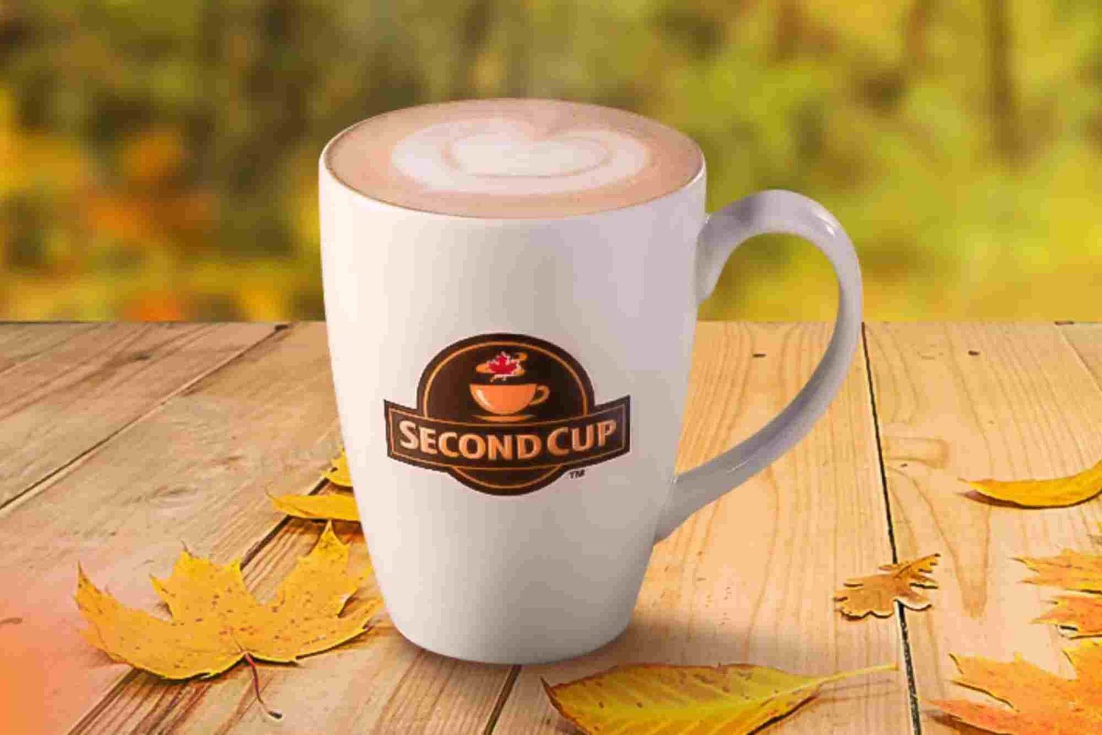 World Cup Coffee Tigard A Local Gem For Coffee Lovers